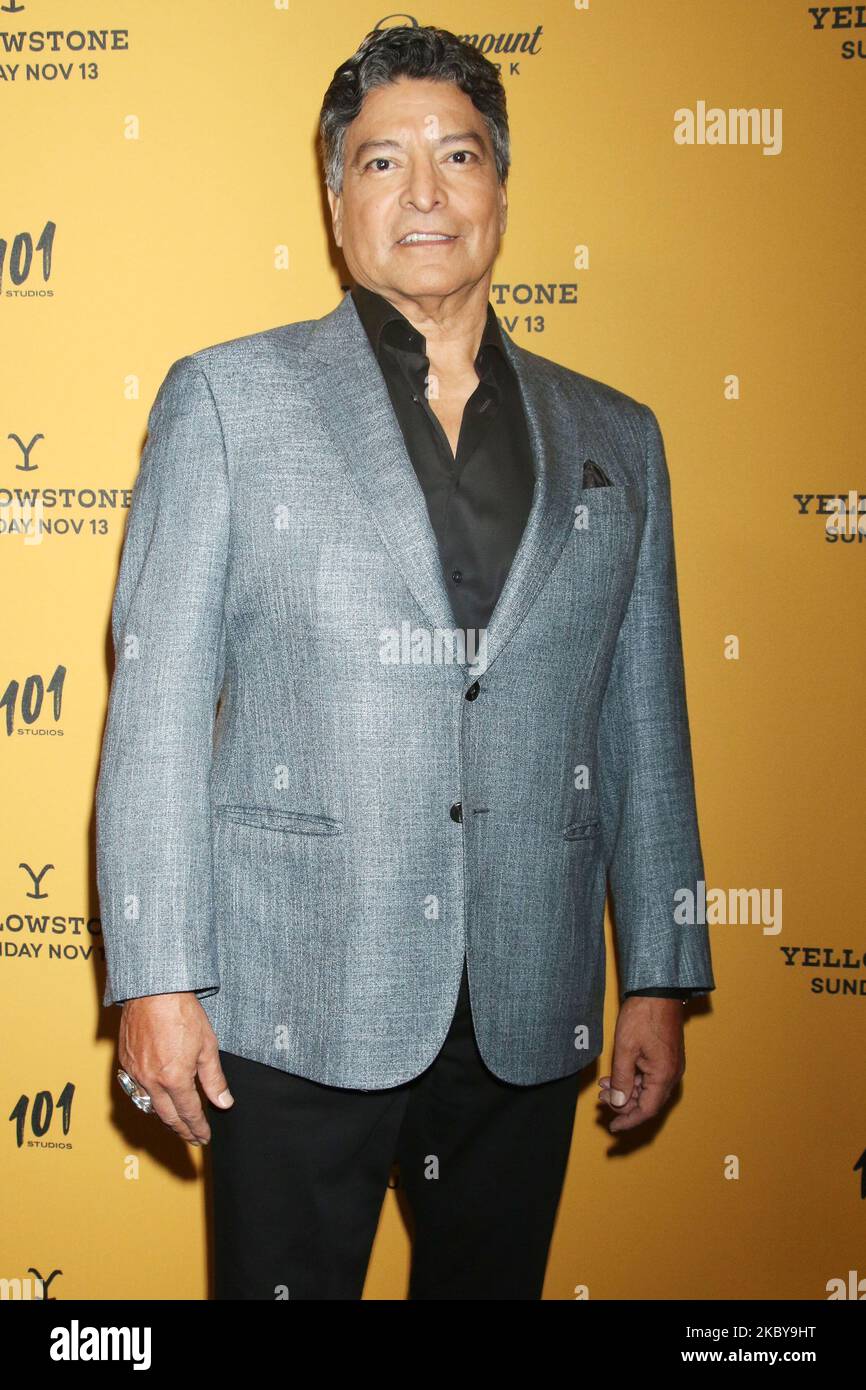 `Yellowstone` Season 5 Premiere In New York PICTURED Gil Birmingham